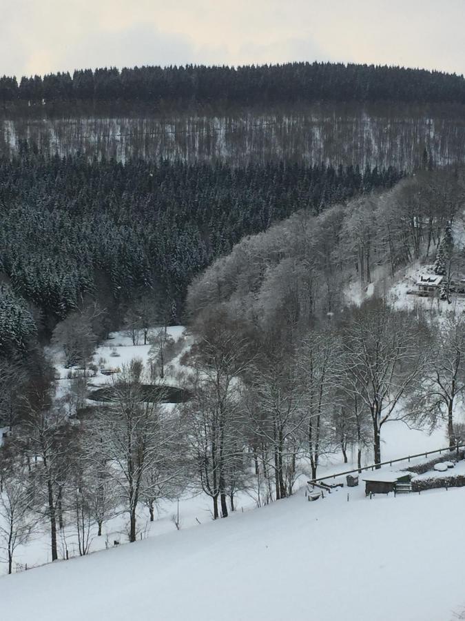 Ferienwohnung Nordenau Schmallenberg Zewnętrze zdjęcie